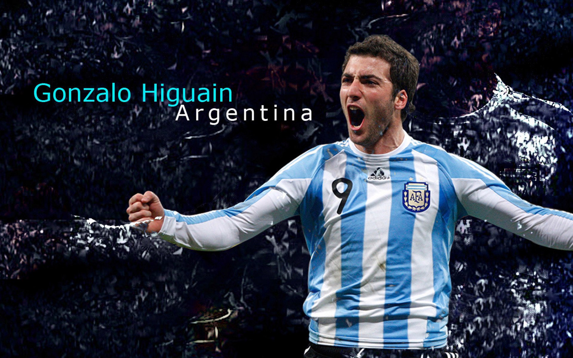 开云官网在线-新西兰橄榄球赛事在全球范围内的转播权价值大增，新西兰橄榄球队徽